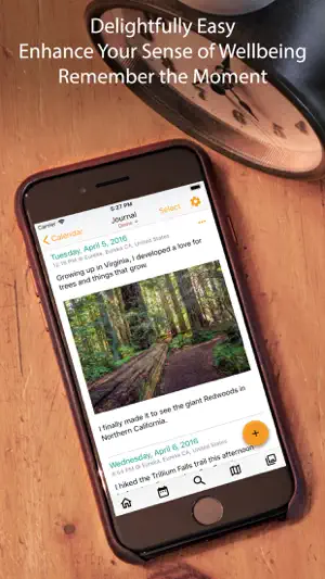 Inkwell Journal screenshot 1