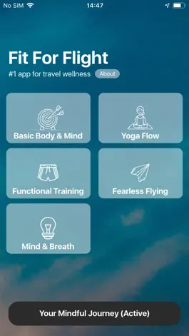 Game screenshot Fit For Flight mod apk