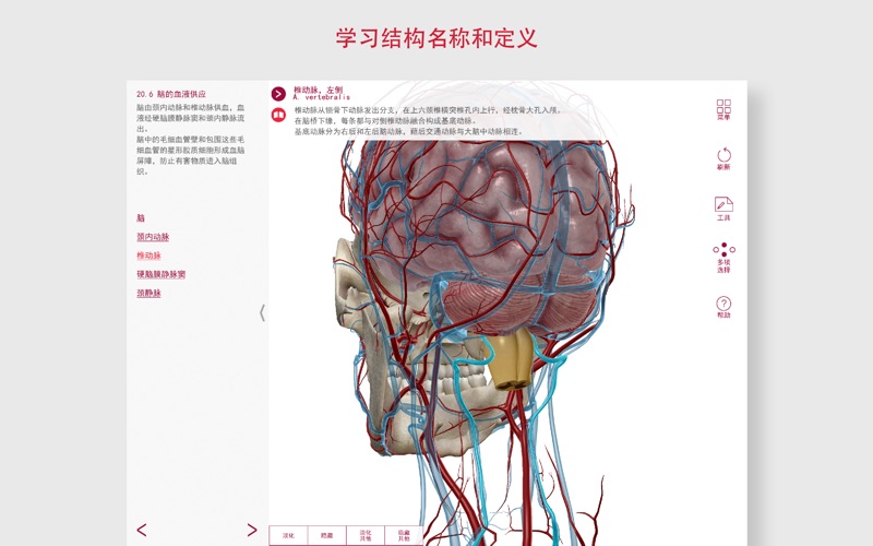 解剖和生理学