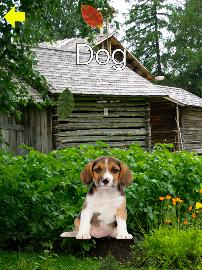 חיות ראשונות שלי