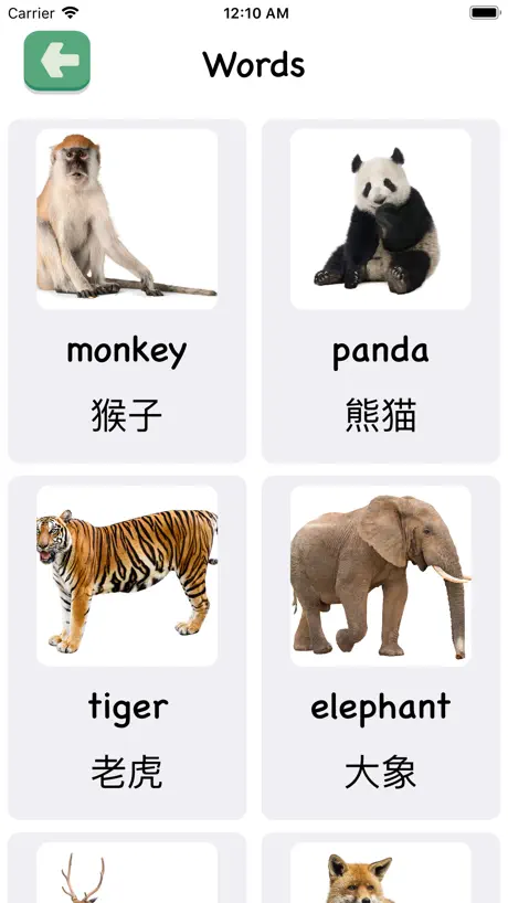 Flashcards 2/3 years toddlers