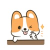 Puppy And Kitty app icon - Stickers app for iPhone