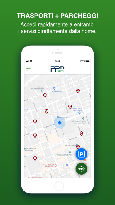 PPM - Piana Palmi Multiservizi Screenshot