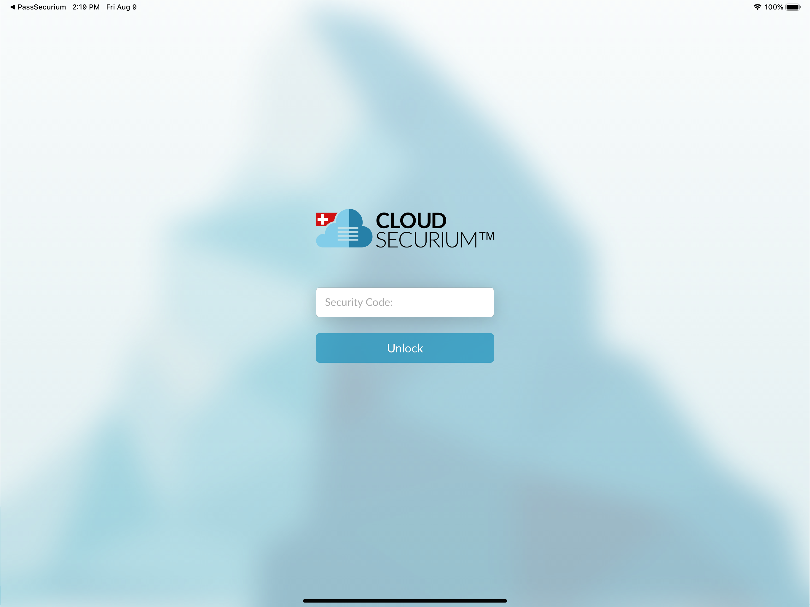 CloudSecurium™ screenshot 10