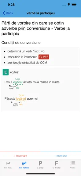 Game screenshot Română10 Gramatică hack