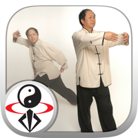 Tai Chi Qigong YMAA