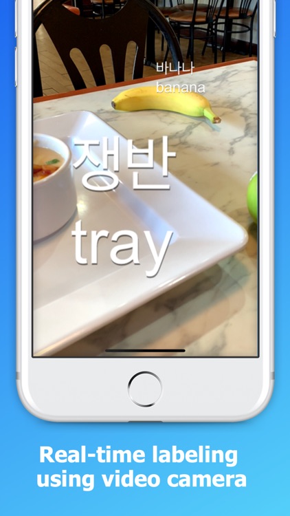 Language Translator by room220