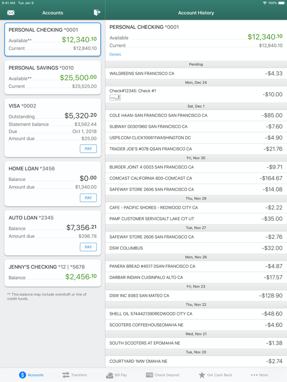 Triangle CU Mobile Banking iPad screenshot 2 - Finance app