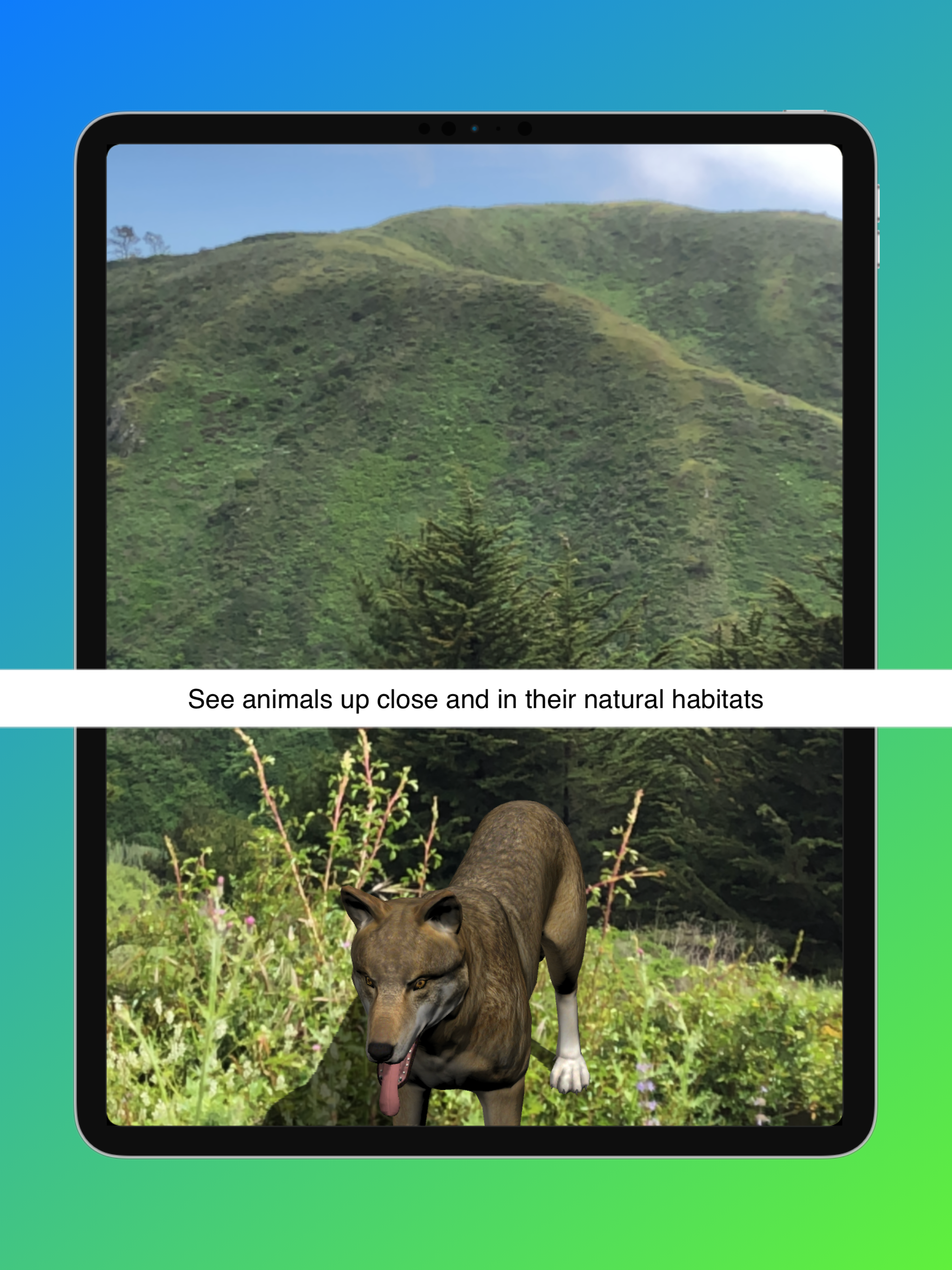 Animal Safari AR - 3D Learning screenshot 11