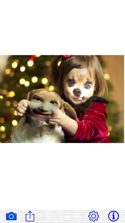 Crazy Face Swap by AlphaPlugin