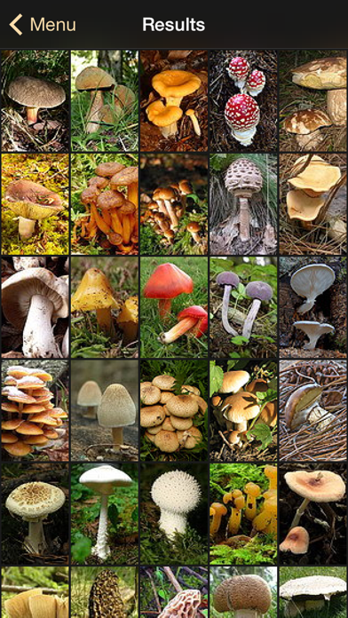 iFunch - Mushrooms and AI Screenshot