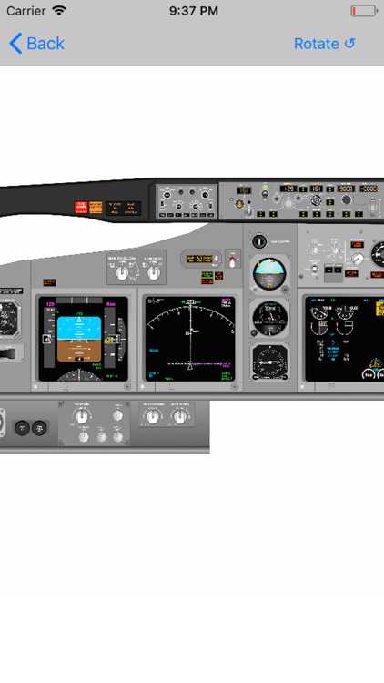 Pan Am B737NG Type Rating Prep screenshot-5