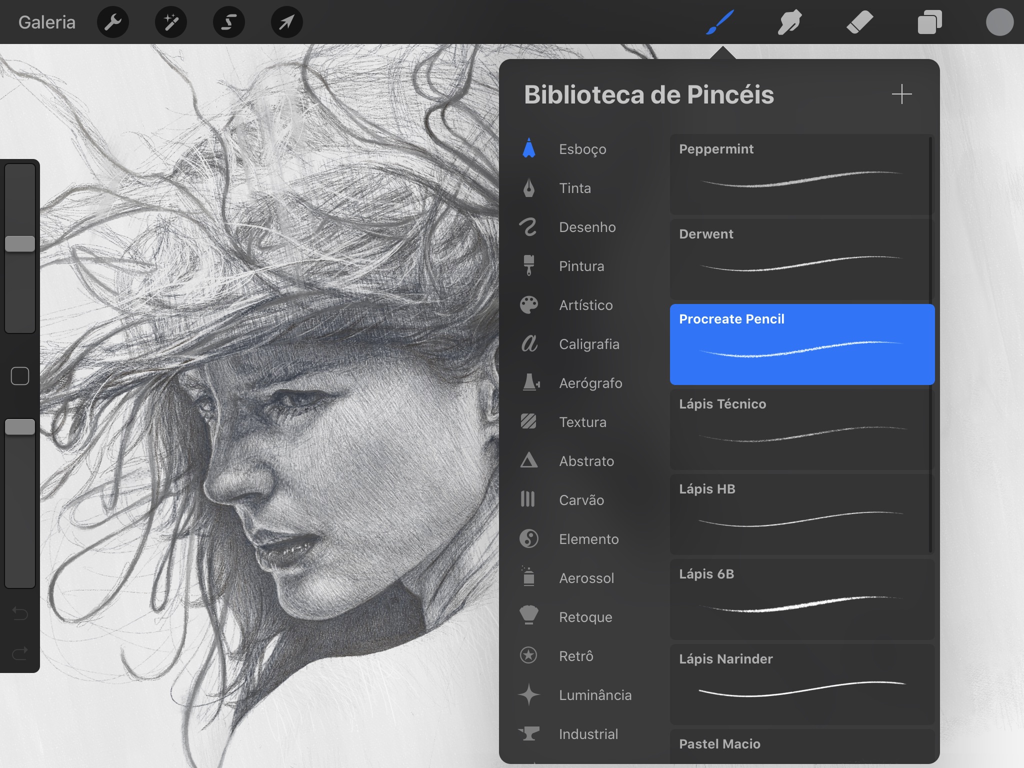 Screenshot do app Procreate