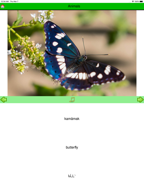 Screenshot #4 pour LifeSpark Developer App