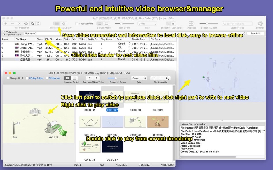 Fast Video Browser Pro - 8.3 - (macOS)