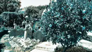 NIR Color screenshot 3
