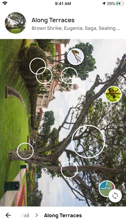 HC Garden screenshot-4