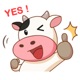Boo Cow app icon - Stickers app for iPhone