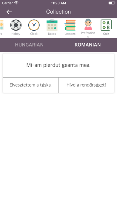 Screenshot #3 pour Hungarian Romanian Dictionary