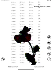 invisible watermark ipad bildschirmfoto 4