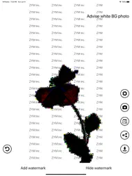 Invisible Watermark ipad bilder 3