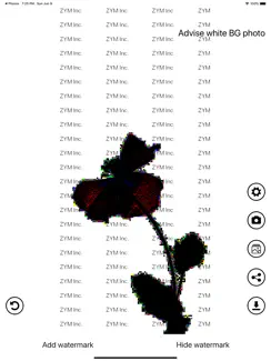 Invisible Watermark iPad image 4