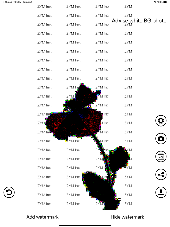 Screenshot #4 for Invisible Watermark