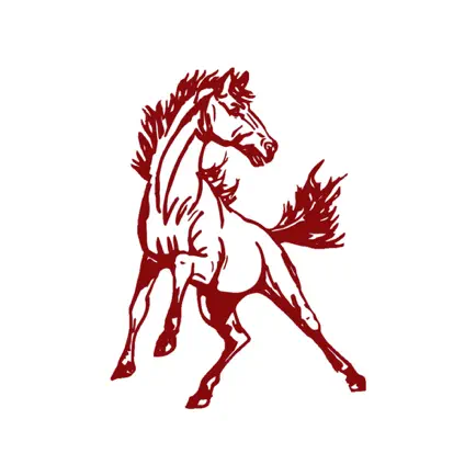 Mountainair Public Schools Читы