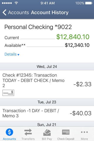 Ukrainian Selfreliance FCU, PA screenshot 3