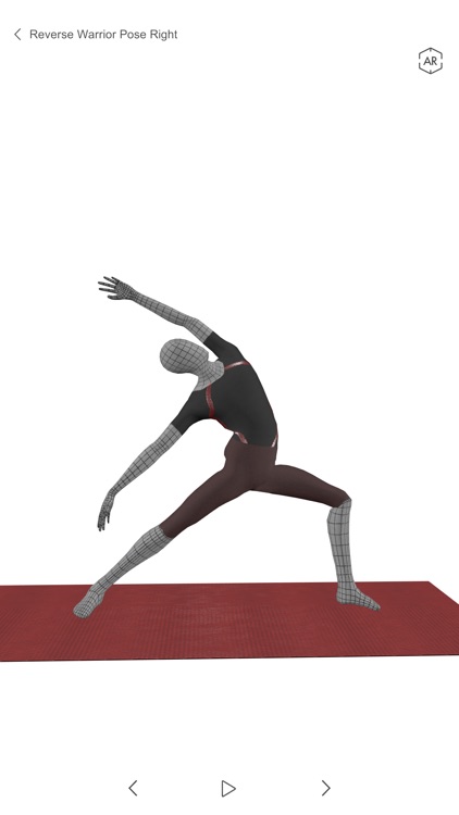 3D Yoga AR