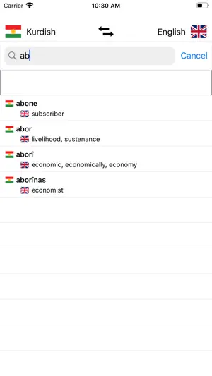 Kurdish-English Dictionary screenshot 1
