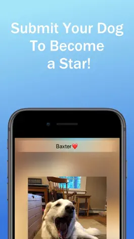 Game screenshot Dog of the Day hack