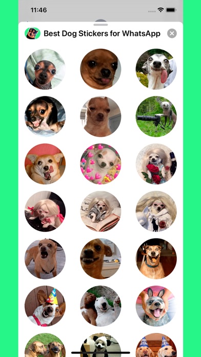 Screenshot #1 pour Best Dog Stickers for WhatsApp