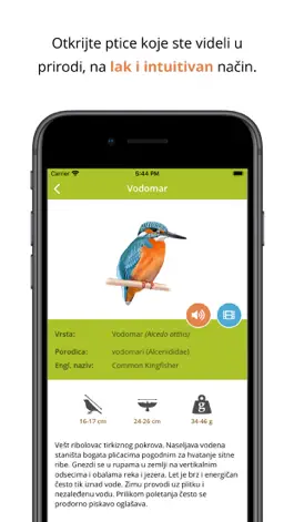 Game screenshot Ptice na dlanu mod apk