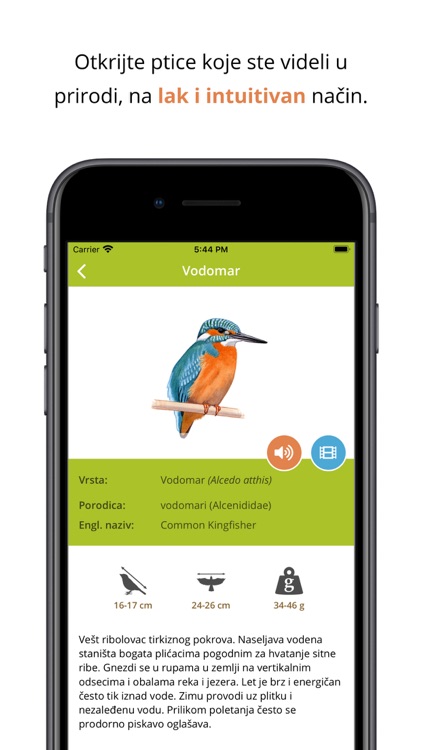 Ptice na dlanu screenshot-0