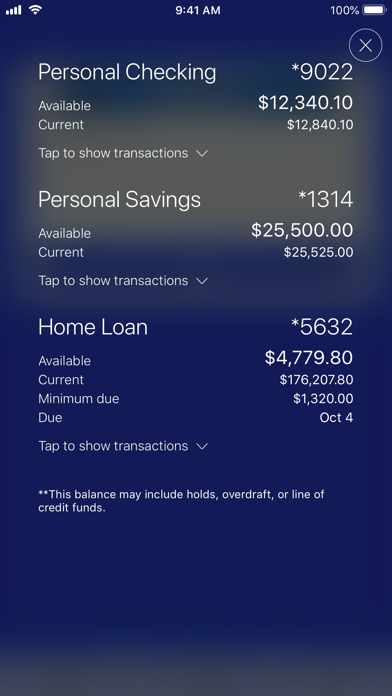 Los Angeles Police FCU Mobile Screenshot