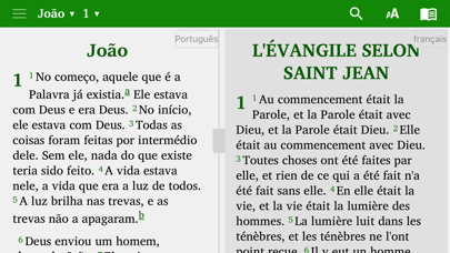 Bible in 14 world languages Screenshot