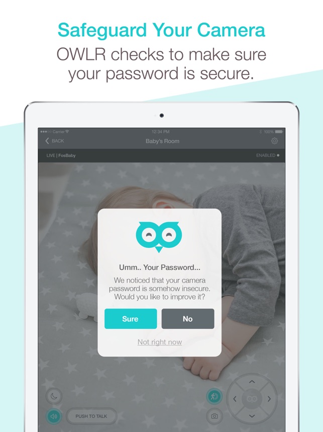 owlr ip camera viewer