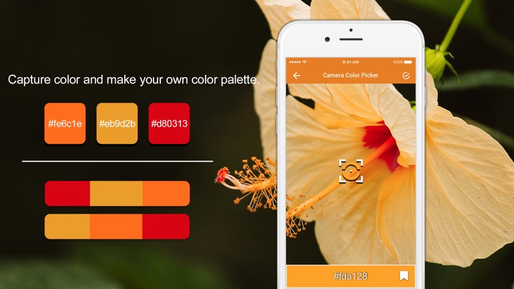 Color Detector - Color Picker
