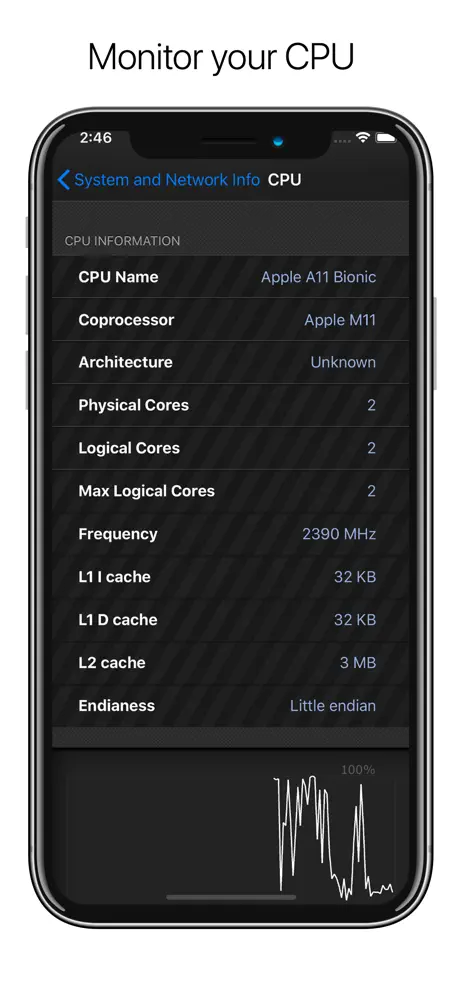 System & Network Info