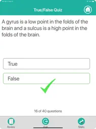 Learn Brain Anatomy ipad bilder 2