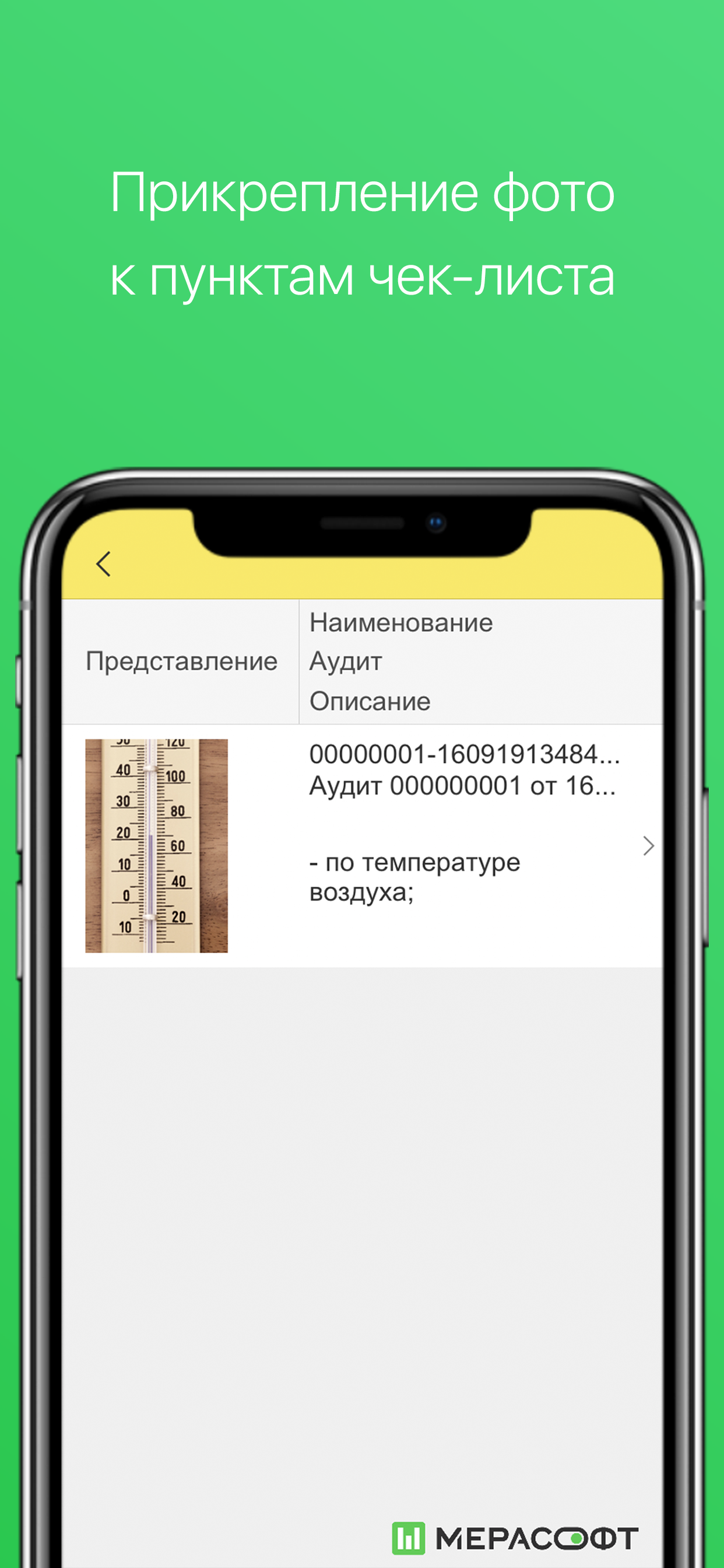 МЕРАСОФТ Надзор и Контроль