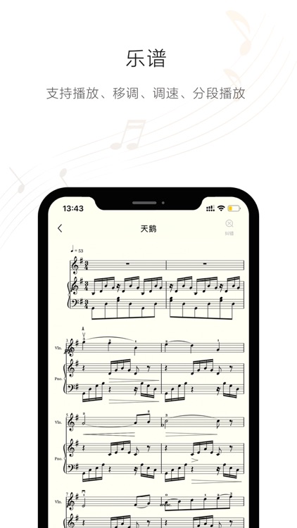 solo音乐