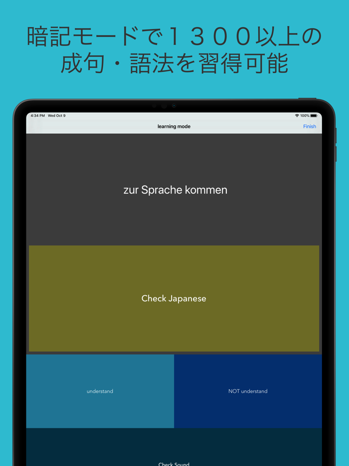 上級 ドイツ語 - Oberstufe