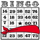 Blindfold Bingo