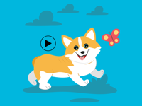 Cute Corgi Animated Emojis