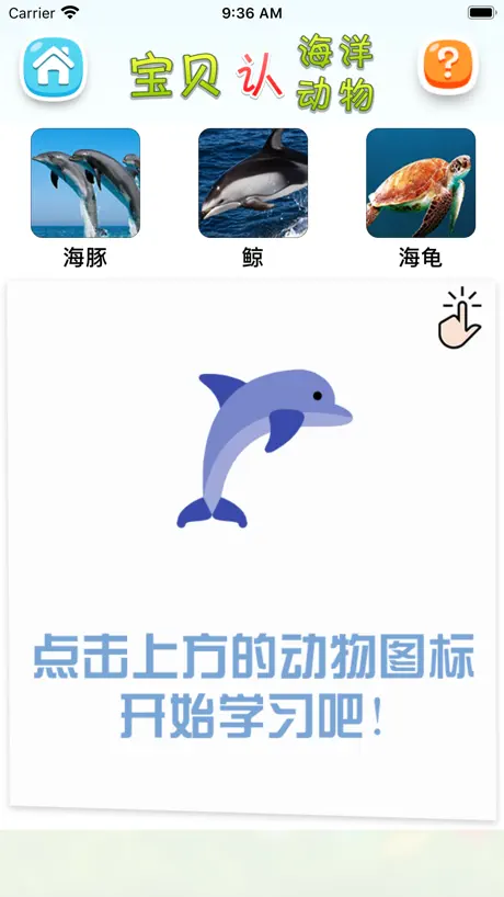 认海洋动物