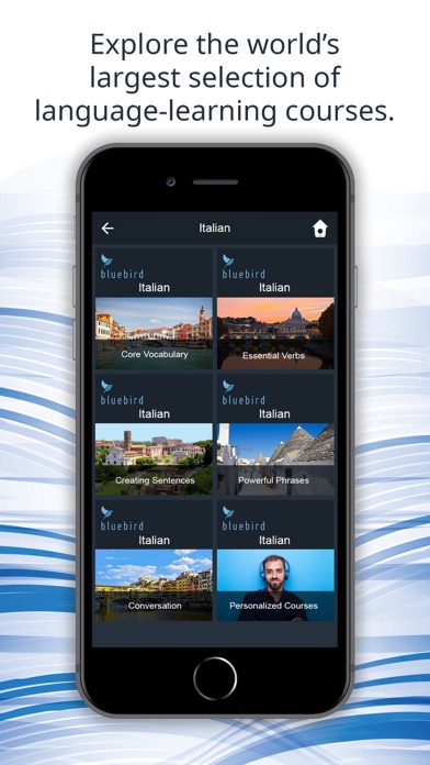 Bluebird: Learn 163 Languages Screenshot