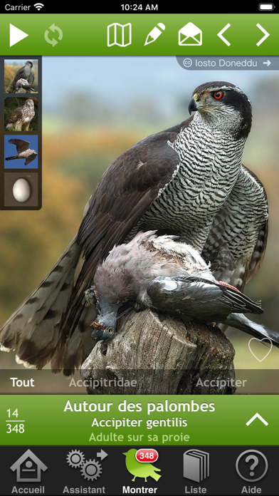 Oiseaux en pocheのおすすめ画像1