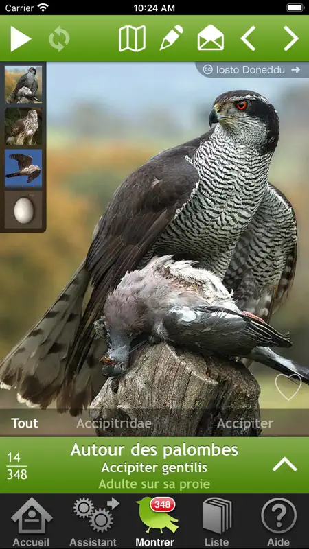 Oiseaux en poche screenshot 1 of 6